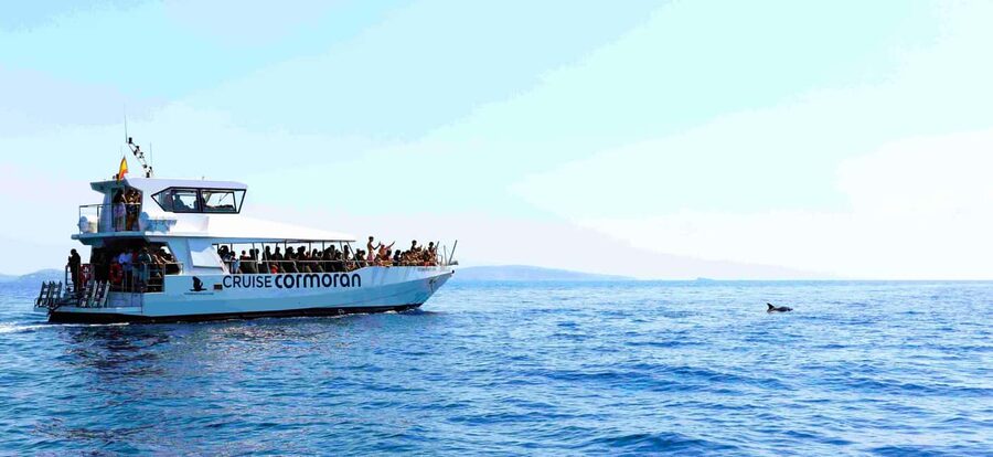 Mallorca: Catamaran Coastal Cruise with Lunch - Value check: is $54 a smart deal for what you actually get?