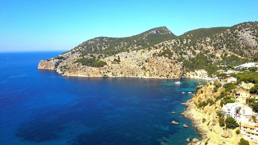 Mallorca: Catamaran Coastal Cruise with Lunch - Cala Egos swimming stop: crystal water, easy snorkel time