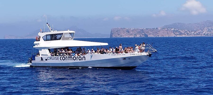 Mallorca: Catamaran Coastal Cruise with Lunch - Drinks, snorkeling gear costs, and packing smart