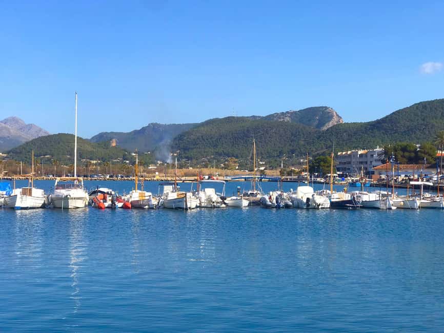 Mallorca: Catamaran Coastal Cruise with Lunch - Who this catamaran cruise is best for (and who should skip it)