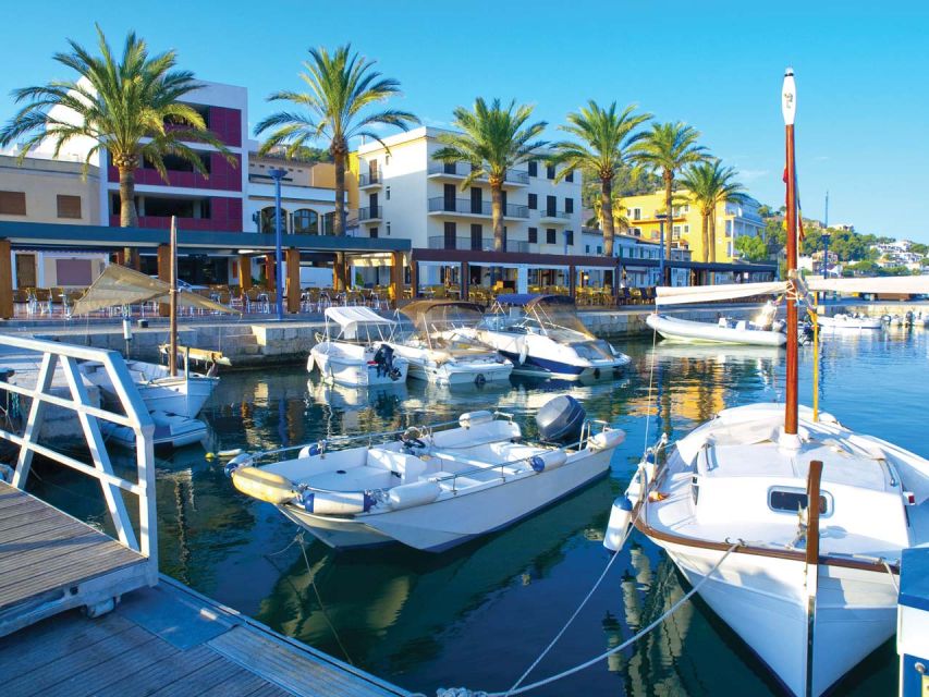Mallorca: Catamaran Coastal Cruise with Lunch - Underwater windows and onboard setup on the Cormoran