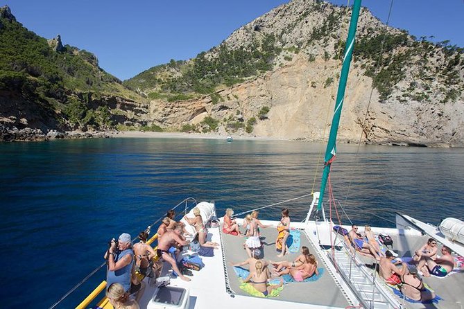 Mallorca Catamaran Cruise and Snorkeling Trip - Snorkeling reality check at Cala Vella and Cala Blava