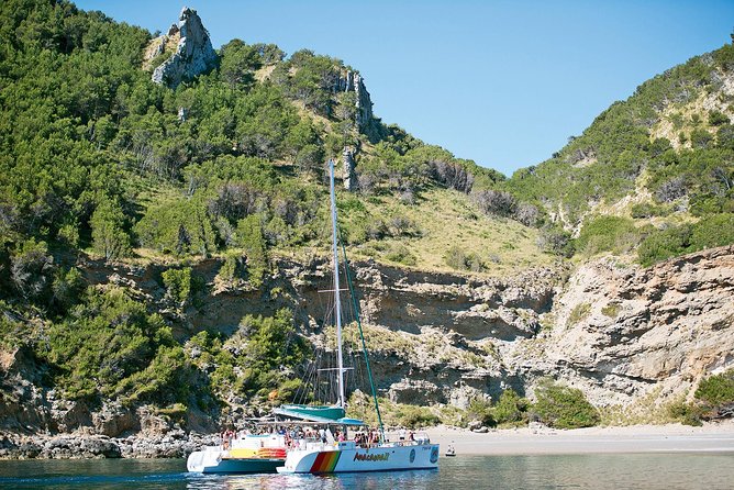 Mallorca Catamaran Cruise with Scenic Views and BBQ Lunch - The route in plain English: five-ish hours, four main moments