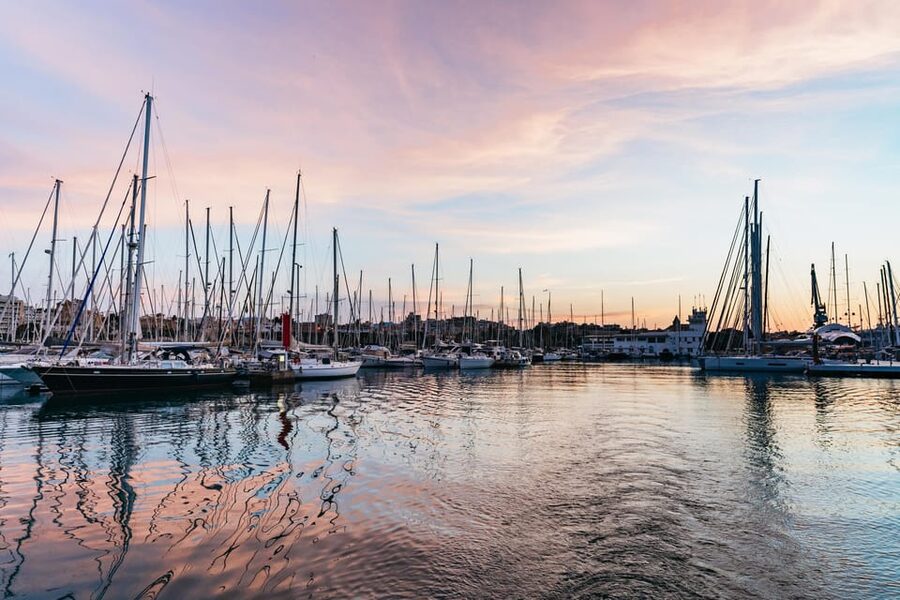 Mallorca: Midday or Sunset Sailing with Snacks and Open Bar - First 5 Minutes: Safety Briefing Without Killing the Mood