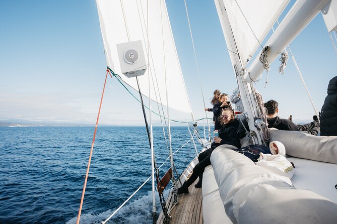 Maori Rock Carvings Eco Sailing Taupo - Morning, afternoon, or evening: the wine-and-beer bonus