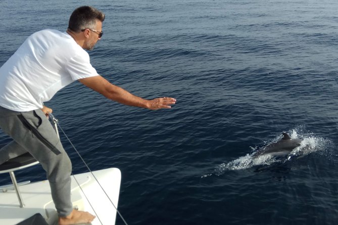 Marbella 3-hour Catamaran Group Excursion with Dolphin Watching - Dolphin watching: how you maximize your odds (without expecting miracles)