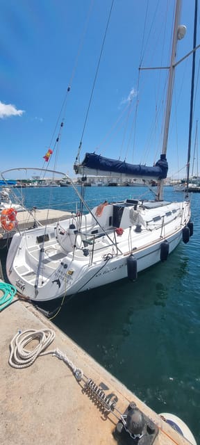 Marbella: Dolphin-Watching Sailboat Trip with Drinks, Snacks - Value Check: Is $77 Worth It?