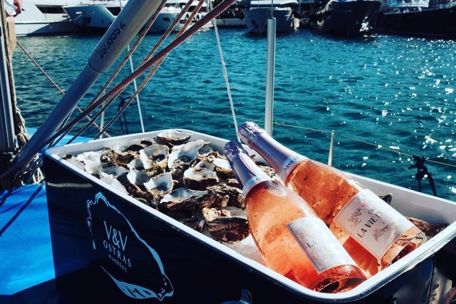 Marbella: Puerto Banús Private Sailing Cruise with Drinks - Key things that make this cruise work