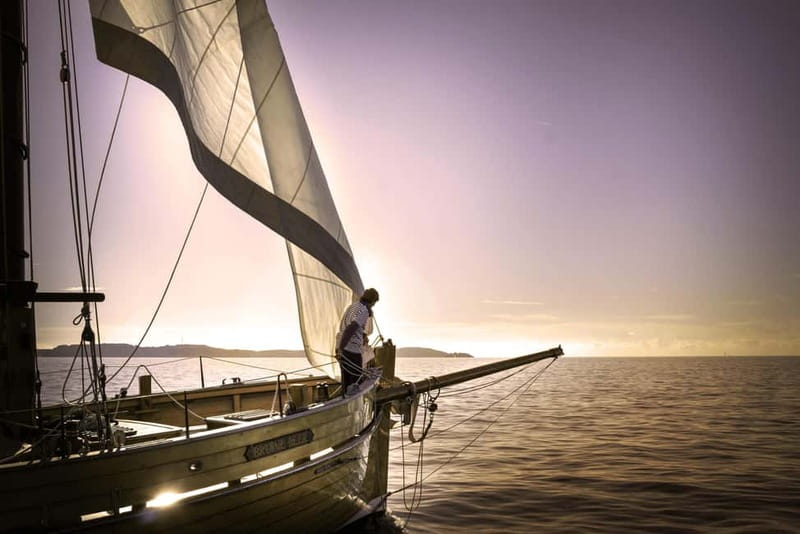 Marseille: Evening sailboat trip to the Calanques du Frioul with buffet and organic wine - Marseille After Dark: Why This Frioul Sail Is Worth Planning
