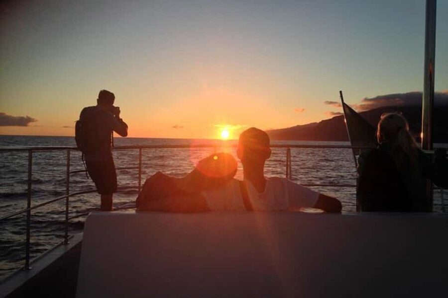 Marseille: Sunset catamaran cruise, buffet & drinks - No Swimming Allowed: Focus on the Views Instead