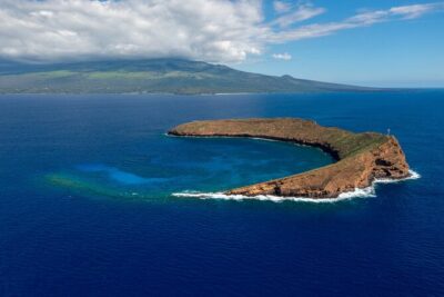 Maui: Molokini and Turtles Luxury Yacht Snorkel - Turtle Town and sea turtles: your best shot at Hawaiian green turtles