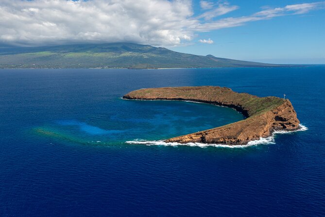 Maui: Molokini and Turtles Luxury Yacht Snorkel - Turtle Town and sea turtles: your best shot at Hawaiian green turtles