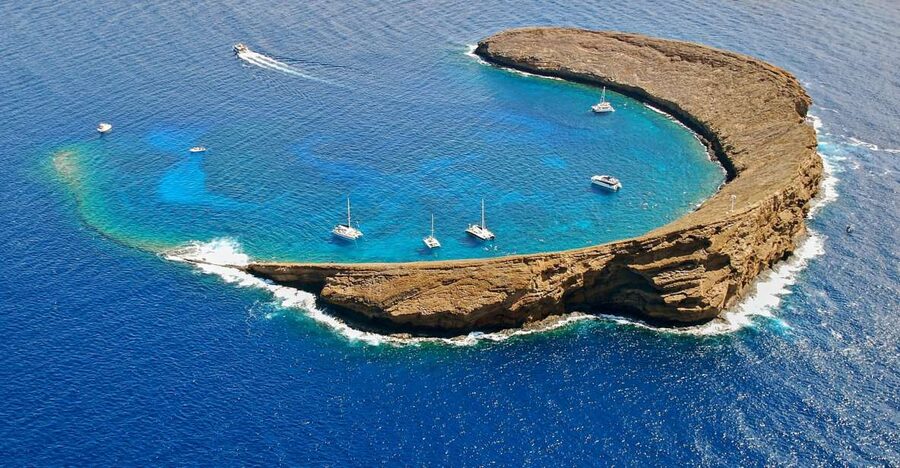 Maui: Molokini Snorkel and Performance Sail with Lunch - Whale sightings on the same sail: what December–May can add