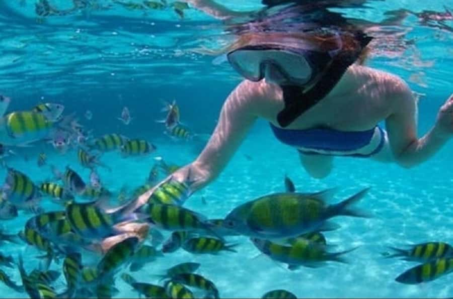 Mauritius: Catamaran cruise to 3 Northern Isles with lunch - Quick hits before you sail