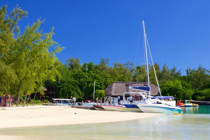 Mauritius: Catamaran Cruise to Ile Aux Cerfs with BBQ Lunch - Snorkeling and swimming off the coast: what to expect in real life