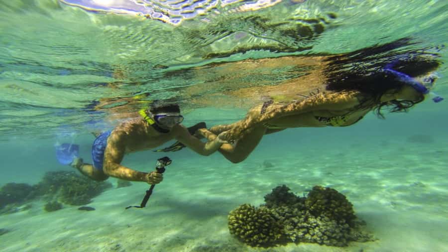 Mauritius: Ile aux Cerf Catamaran w/Waterfall Visit & Lunch - Cruising the lagoon, then snorkeling breaks that actually work