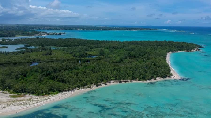 Mauritius: Ile aux Cerf Catamaran w/Waterfall Visit & Lunch - Ile aux Cerfs: beaches, palm-lined views, and optional activities