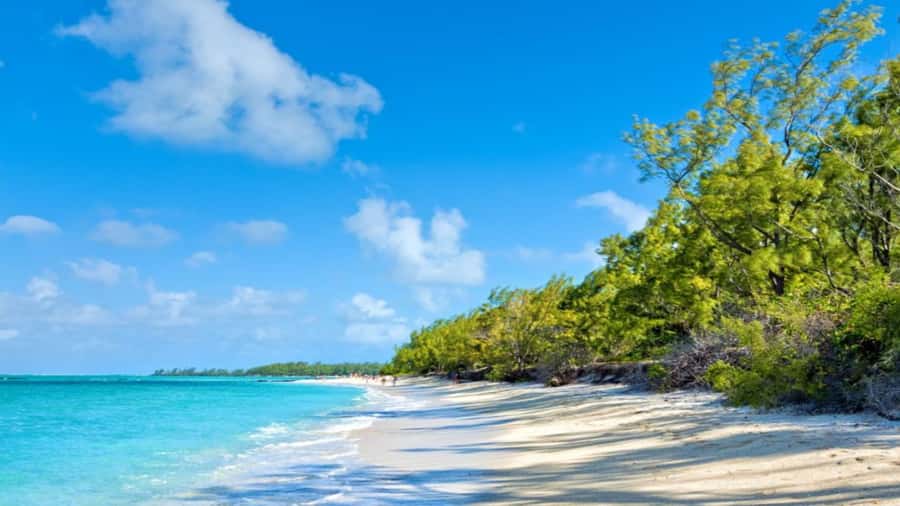 Mauritius: Ile aux Cerf Catamaran w/Waterfall Visit & Lunch - Price and value: what $70 buys you in real terms