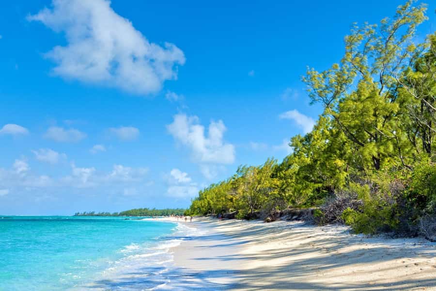 Mauritius: Ile Aux Cerfs Catamaran Trip w/ Lunch & Transfer - Key Highlights You’ll Actually Feel