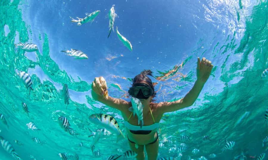Mauritius: Ile Aux Cerfs Catamaran Trip w/ Lunch & Transfer - Group Size, Comfort, and the 7-Hour Reality Check
