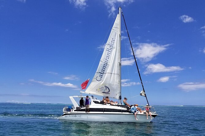 Mexico Rocks Day Sail Shared Guided Tour - Key highlights you’ll feel right away