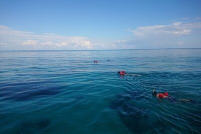 Mexico Rocks Day Sail Shared Guided Tour - The ride out to Mexico Rocks: lay down, sip, and watch the water