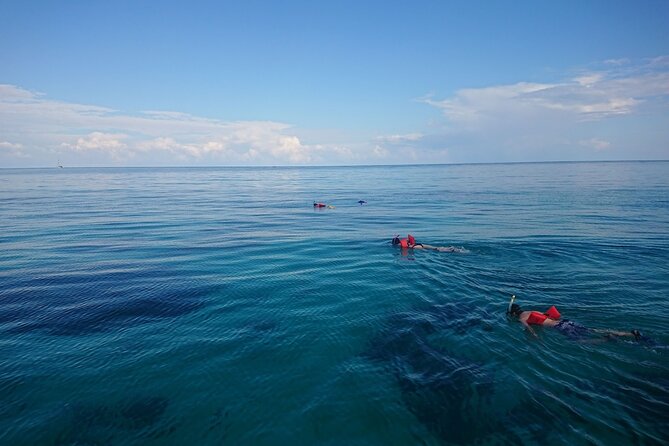 Mexico Rocks Day Sail Shared Guided Tour - The ride out to Mexico Rocks: lay down, sip, and watch the water