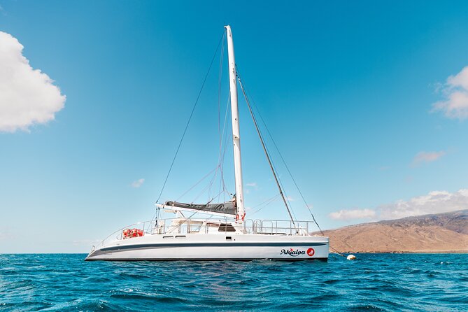 Midday Whale Watch: Mā’alaea Harbor - Meeting at Maalaea Harbor: easy start, easy finish