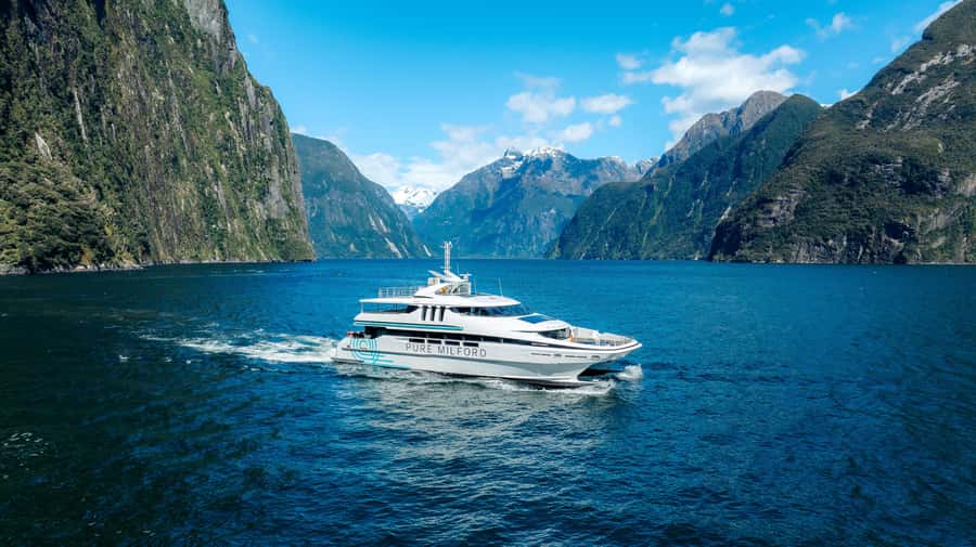 Milford Sound: Nature Cruise on a Modern Catamaran - Key Things to Know Before You Go