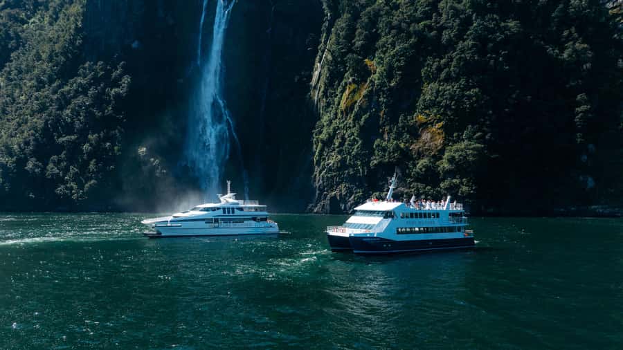 Milford Sound: Nature Cruise on a Modern Catamaran - A Modern Catamaran That Makes Milford Feel Close