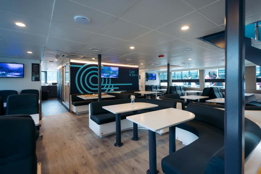 Milford Sound: Nature Cruise on a Modern Catamaran - Where to Sit and How to Stay Warm (Even When It Rains)
