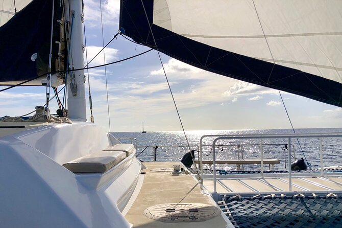 Moana’s Swim’n’Sail Cocktail Cruise Along the Waikiki Coast - Where you meet: Kewalo Basin Harbor and why “2 pm on time” matters