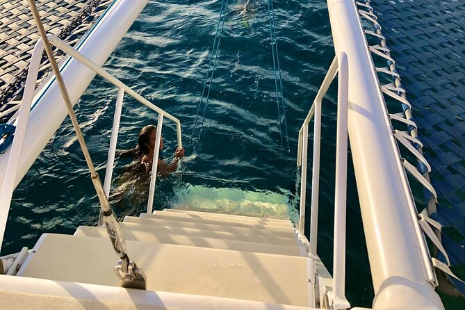 Moana’s Swim’n’Sail Cocktail Cruise Along the Waikiki Coast - Practical tips that make a big difference