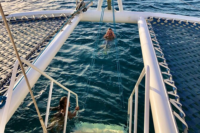 Moana’s Waikīkī Grand Guided Turtle Snorkel & Sailing Adventure - Entering the day from Kewalo Basin Harbor