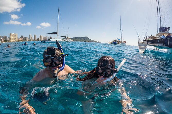 Moana’s Waikīkī Grand Guided Turtle Snorkel & Sailing Adventure - Who should book this, and who should pause