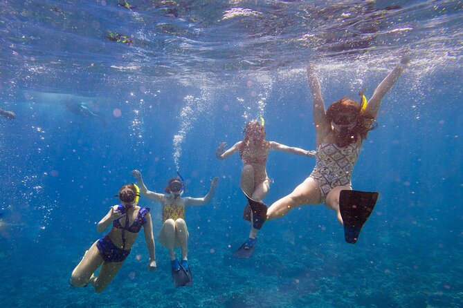 Molokini Snorkel and Performance Sail: Mā’alaea Harbor - Quick hits before you go