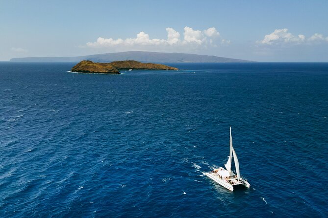 Molokini Snorkel and Performance Sail: Mā’alaea Harbor - Molokini Crater snorkeling: crystal water, ladder access, and real guidance
