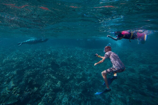 Molokini Snorkel and Performance Sail: Mā’alaea Harbor - Food and drinks: breakfast, buffet lunch, and why it’s part of the value