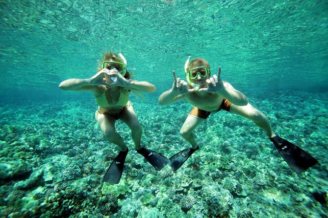 Molokini Snorkel and Performance Sail: Mā’alaea Harbor - Wildlife on the sail: whales and dolphins along the route
