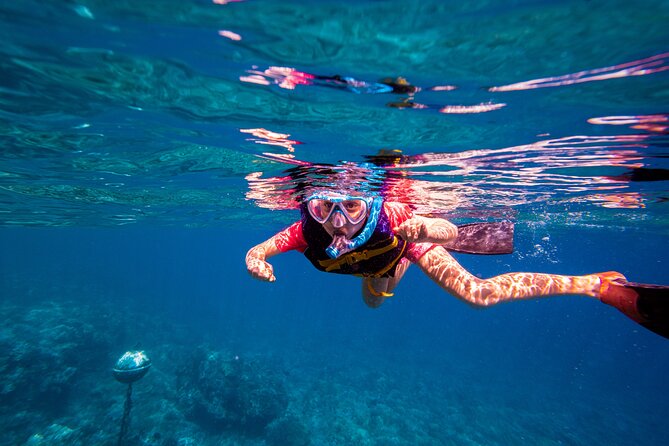 Molokini Snorkel and Performance Sail: Mā’alaea Harbor - Price and value: is $200 per person a good deal?