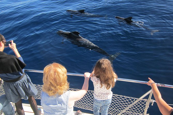 Most Famous Catamaran in Tenerife Island (2 hours and 3 hours tours) - Catamaran cruise basics: timing, group size, and what you actually get