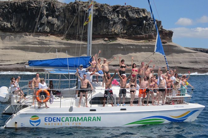 Most Famous Catamaran in Tenerife Island (2 hours and 3 hours tours) - Wildlife spotting tips: how to get the most from the next hour