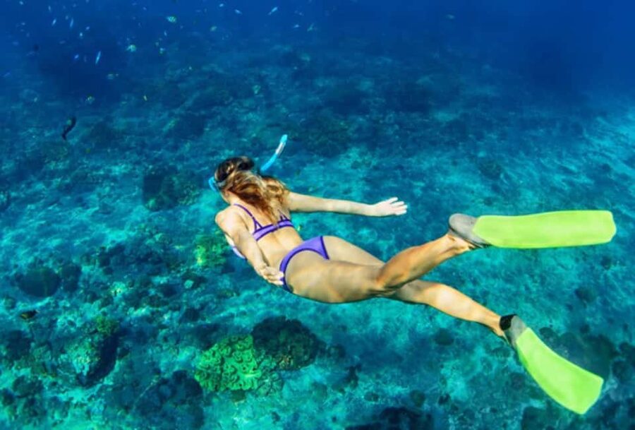 Nassau: Catamaran Sail and Snorkel Tour - Nassau Catamaran Sail and Snorkel: The real deal from Paradise Island