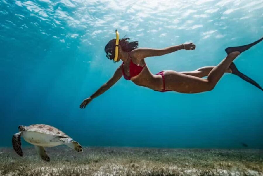 Nassau: Catamaran Sail and Snorkel Tour - Price and value: does $103 feel fair for this Nassau outing?