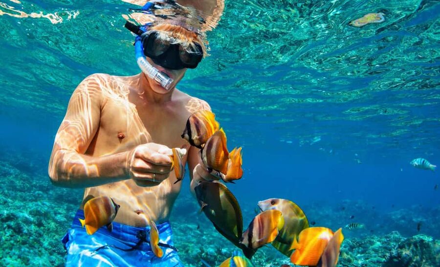 Nassau: Catamaran Sail and Snorkel Tour - Who should book this tour (and who should skip it)