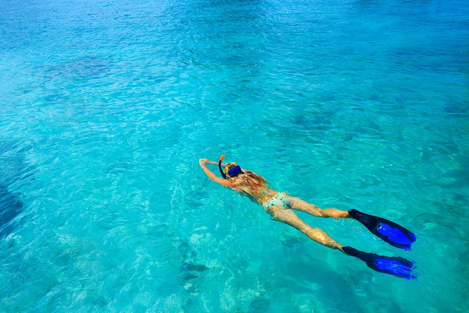 Nassau Sail & Snorkel Adventure with 1 Hour Open Bar - Entering The Nassau water world: what this trip is really like