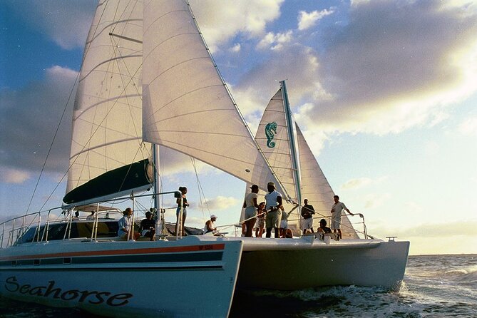 Nassau Sail & Snorkel Adventure with 1 Hour Open Bar - The open bar on the way back: what’s included and how to enjoy it responsibly