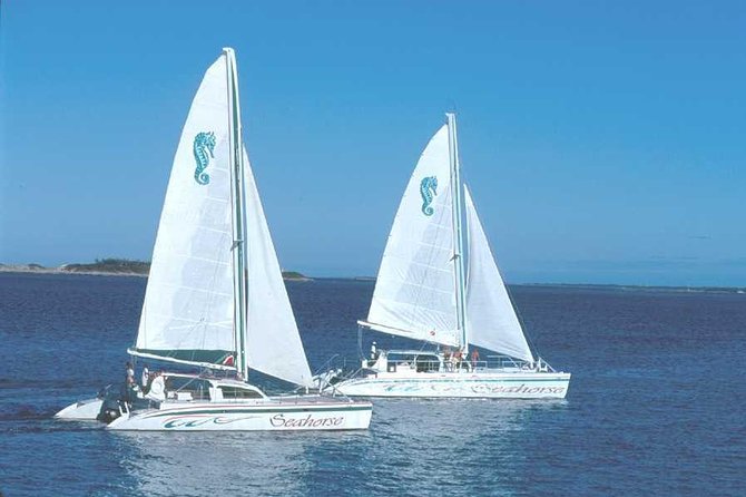 Nassau Sail & Snorkel Adventure with 1 Hour Open Bar - Sailing vs. motor power: how to set expectations for the boat motion