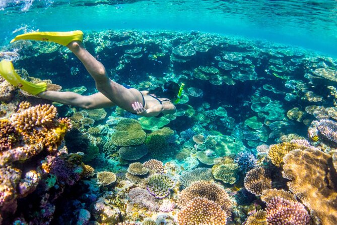 Nassau Sail & Snorkel Adventure with 1 Hour Open Bar - Boat comfort matters: decks, shade, and the “where do I put my stuff?” factor