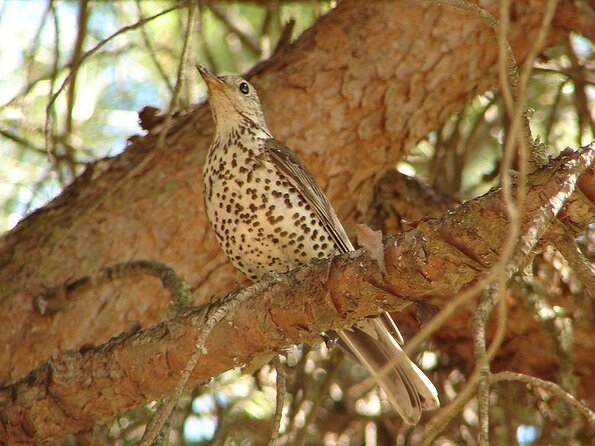Nature Catamaran Tour from Faro - Quick Key Points Before You Go